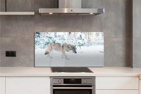 Panel Szklany Wilk zima las