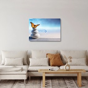 Obraz na szkle - Ogród zen (70x50 cm)