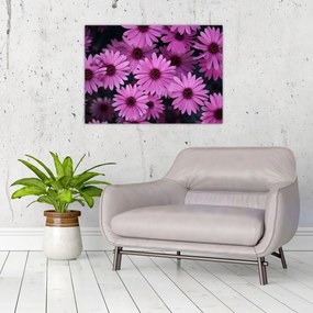 Obraz różowych kwiatów (70x50 cm)