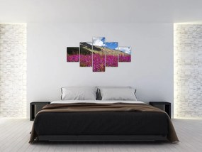 Obraz scenerii łąki górskiej (125x70 cm)