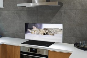 Szkło do Kuchni na Ścianę Leniwe Popołudnie na Kanapie