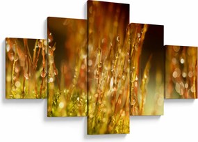 Obraz - Szczegół rosy (125x70 cm)