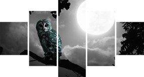 Obraz - Nocna sowa, niebieski (125x70 cm)