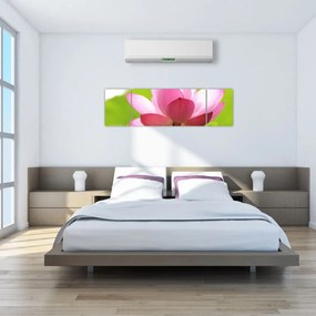 Obraz kwiatu lotosu (170x50 cm)