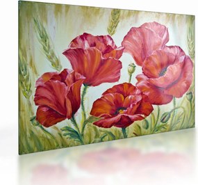 Obraz na szkle - Kwiaty maku (70x50 cm)