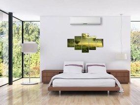Obraz - Budzący się las (125x70 cm)