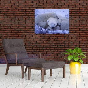 Obraz - Niedźwiadki polarne (70x50 cm)