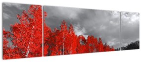 Obraz - Drzewa w kolorze jesieni (170x50 cm)