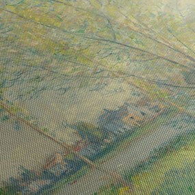 Obraz - Claude Monet, The Willows, reprodukcje (70x50 cm)