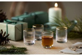 Kieliszki do wódki zestaw 4 szt. 60 ml Palermo – Lyngby Glas