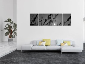 Obraz - Łąka z zachodem słońca (170x50 cm)