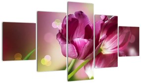 Obraz różowych tulipanów (125x70 cm)