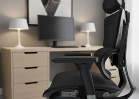 Fotel biurowy Ergo Omega czarny oferuje maksymalny komfort i nowoczesny design! Regulacja lędźwiowa, podłokietniki 4D, oddychająca siatka Mesh i chromowana podstawa. Idealny do pracy.