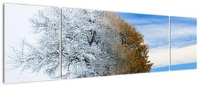 Obraz - Zmiana pór roku (170x50 cm)