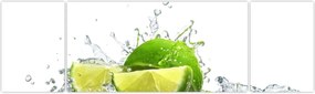 Obraz - Limes (170x50 cm)