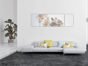 Obraz białej orchidei (170x50 cm)