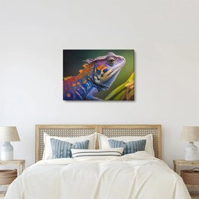 Obraz - Kolorowy legwan (70x50 cm)