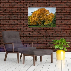 Obraz na szkle - drzewo (70x50 cm)