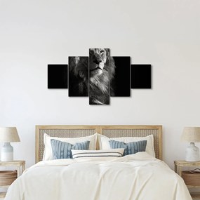 Obraz - Lew (125x70 cm)
