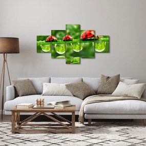 Obraz - Sunshine of the Seven Suns (125x70 cm)