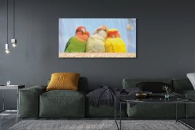 Zdjęcie na płótnie Egzotyczne Kolorowe Papugi