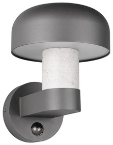 Zewnętrzna lampa ścienna (wysokość 24,5 cm) Fraser – Trio