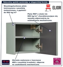 Szałwiowa kwadratowa górna szafka łazienkowa  D9-N82