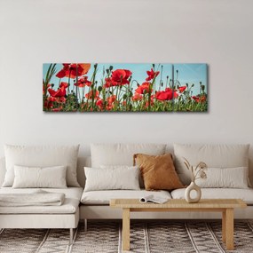 Obraz - Na polu maków (170x50 cm)