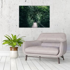 Obraz na szkle - Ścieżka przez las (70x50 cm)