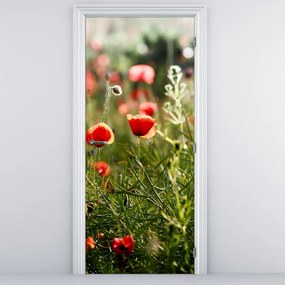 Fototapeta na drzwi - Maki (95x205cm)