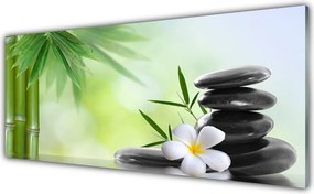 Szkło do Kuchni na Ścianę Egzotyka Bambusa I Kwiatów