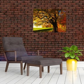 Obraz na szkle - jesień (70x50 cm)