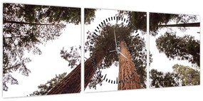 Obraz - Widok przez korony drzew (z zegarem) (90x30 cm)