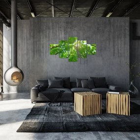Obraz - Las (125x70 cm)