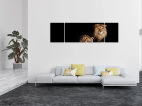 Obraz - Lew i lwica (170x50 cm)
