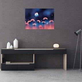 Obraz na szkle dmuchawca z niebieskim motylem (70x50 cm)