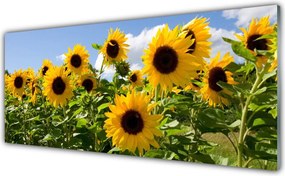 Panel Szklany Złoty Słonecznik w Słońcu