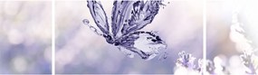 Obraz - Motyl i lawenda (170x50 cm)