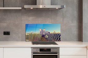 Panel szklany do Kuchni Zebra wśród Polnych Kwiatów