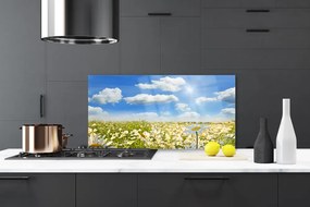 Panel Szklany Białe Stokrotki w Zieleni