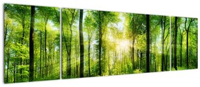 Obraz - Świt w lesie (170x50 cm)