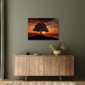 Obraz na szkle drzewa o zachodzie słońca (70x50 cm)