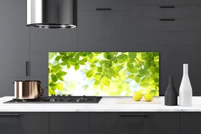 Szkło do Kuchni na Ścianę Świeże Zielone Liście