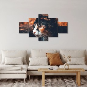 Obraz - Spojrzenie kota (125x70 cm)