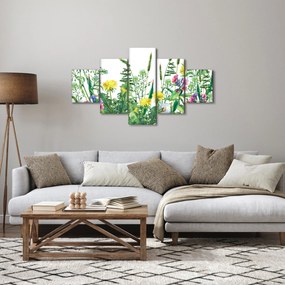 Obraz - Malowane kwiaty łąkowe (125x70 cm)