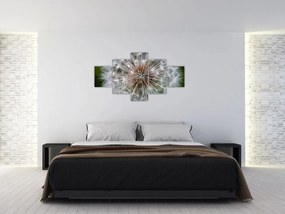 Obraz dmuchawca (125x70 cm)