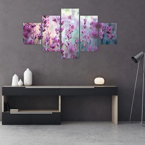 Obraz - Lawenda (125x70 cm)