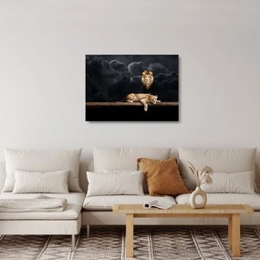 Obraz na szkle - Lew i lwica w chmurach (70x50 cm)