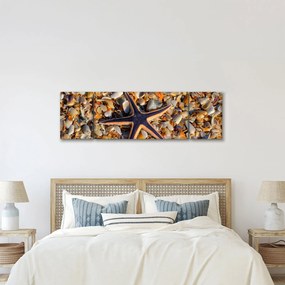 Obraz rozgwiazdy (170x50 cm)