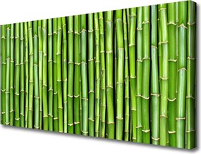 Zdjęcie na płótnie Kompozycja z Pędów Bambusa